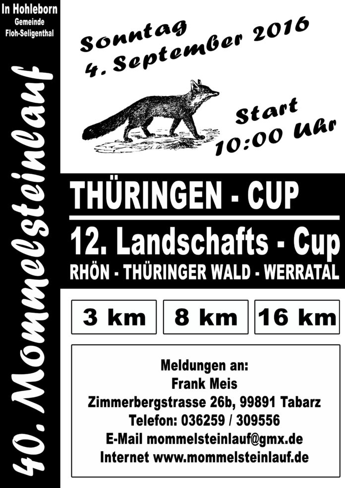 mommelsteinlauf_hoch_a4_2016 (2)