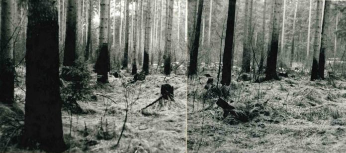 Fundort_1990