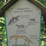 205-2020 Vandalismus zu Himmelfahrt (2)