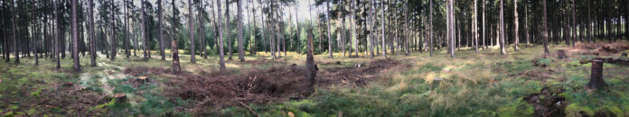 201006 Käferloch I