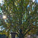 IMG_4031