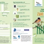 210304_sdg21_flyer_Seite_1