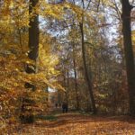 Herbst-Impressionen-Steiger-DanielaTroeger (25)x