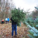 Den Weihnachtbaum in den Wald zurücktragen, wäre auch eine Lösung_Willrode-DanielaTroeger (10)_x