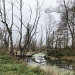 SaaleAue_Etzelbach1