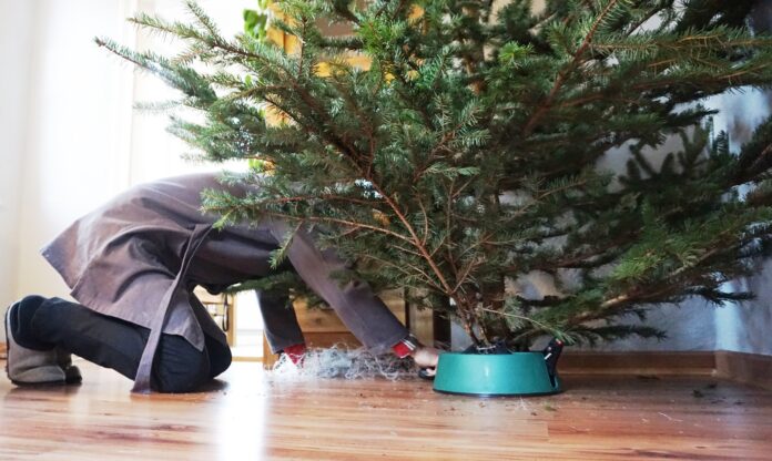 Weihnachtsbaum-aufstellen-danielaTroeger-x