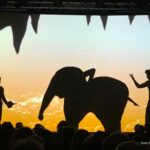 Pressebild_Amazing_Shadows_02