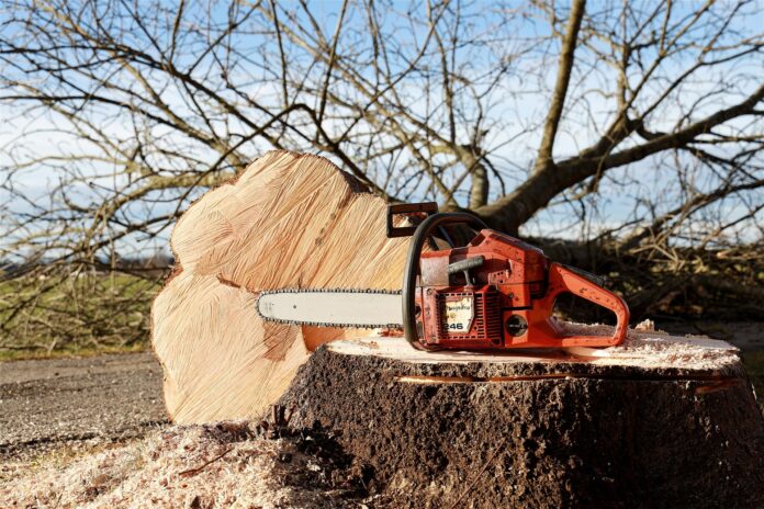 chainsaw-g0734fdee3_1920
