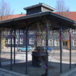 DSC00019