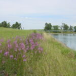 Wechmar_Talsperre
