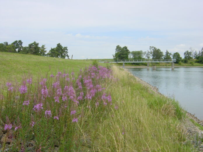 Wechmar_Talsperre