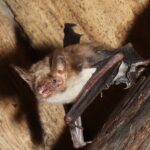 20220513 Mmyo IMG_5404 Kopie