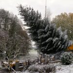 DSC03740