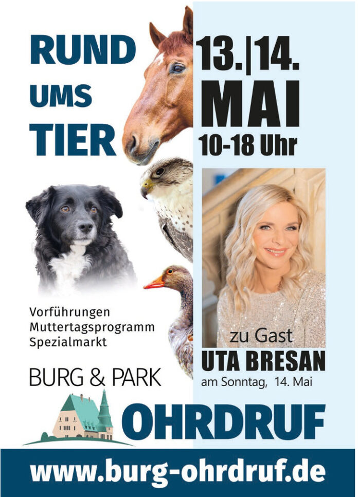 Bildschirmfoto 2023-04-19 um 17.26.37