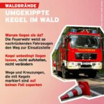 umgekippte kegel waldbrnad