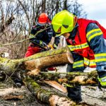 fire-fighters-5211406_1280