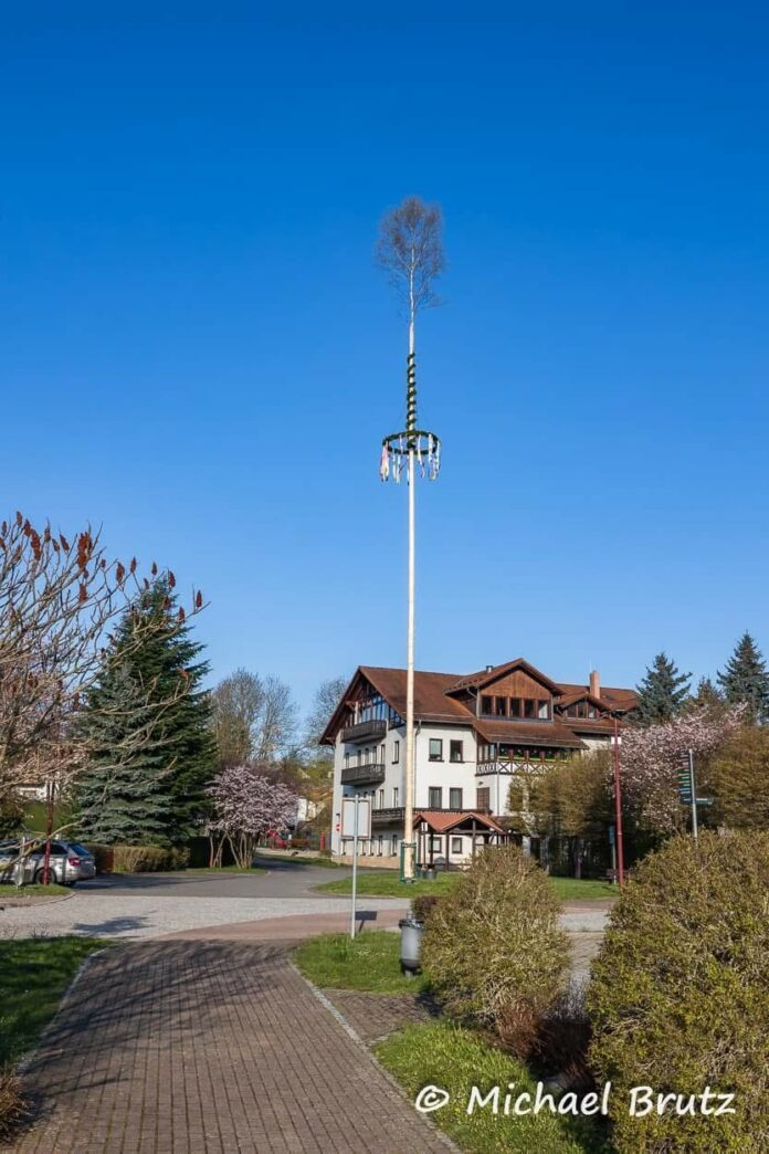 Maibaum Finsterbergen