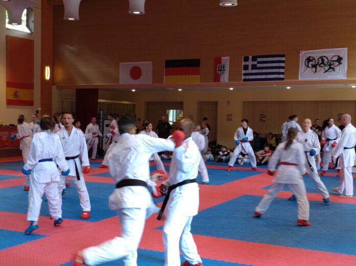 Sparring-Einheit beim Champions-Camp in Waltershausen