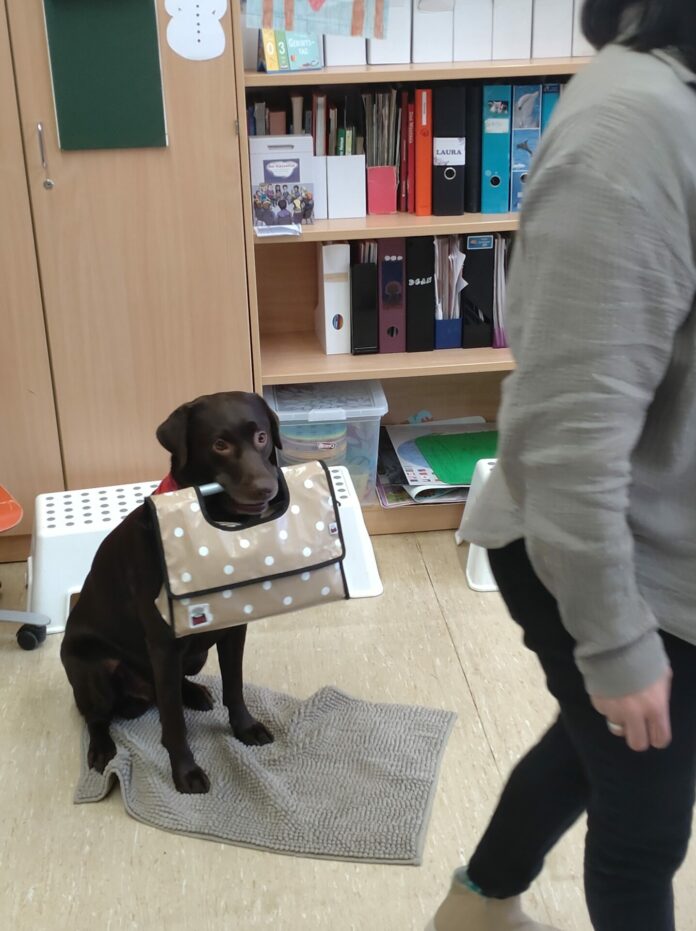 Therapiehund Balu_4