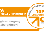 Evi Top Versorger 2026