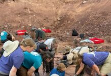 Rund 1.700 Besucher: Grabung am Bromacker bei Georgenthal voller Erfolg
