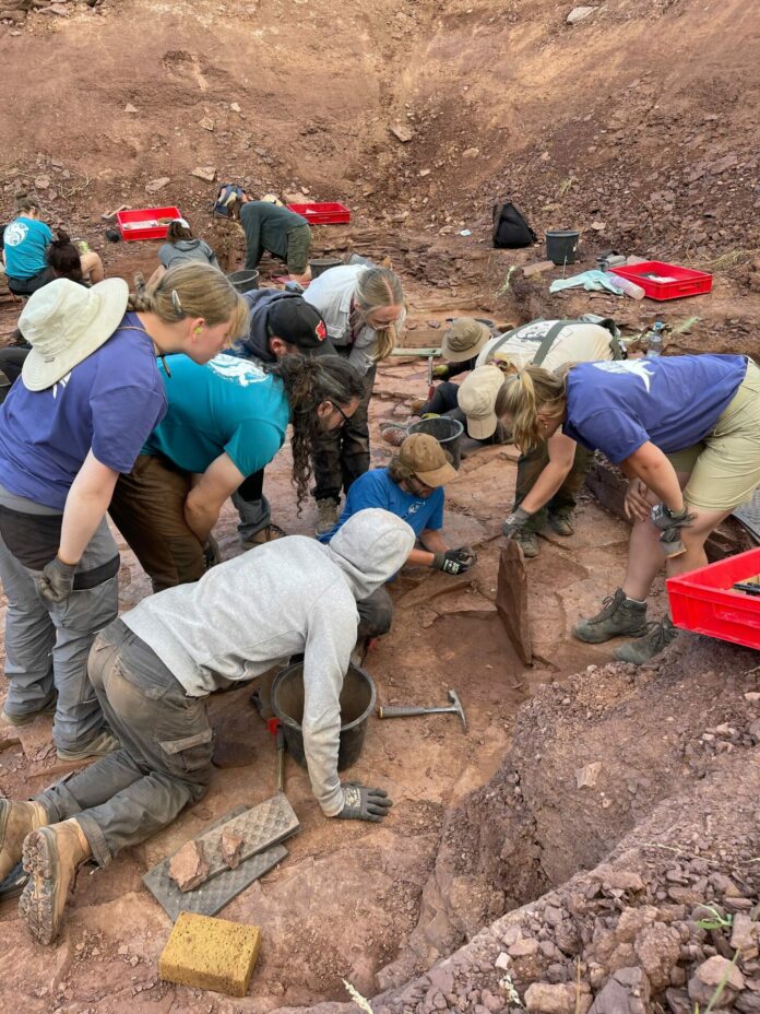 6a635573c0839-Sobald-ein-Fossil-gefunden-wurde-herrscht-Aufregung-im-Grabungsteam