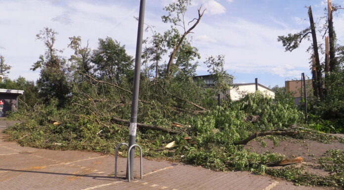 Sturm fordert Opfer im Landkreis Gotha
