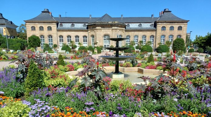 Exotisches Gotha: Spannende Ausstellung in Orangerie