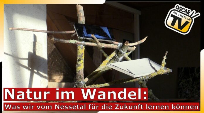 „AUENLand what now?“ Internationale Künstler erforschen das Nessetal